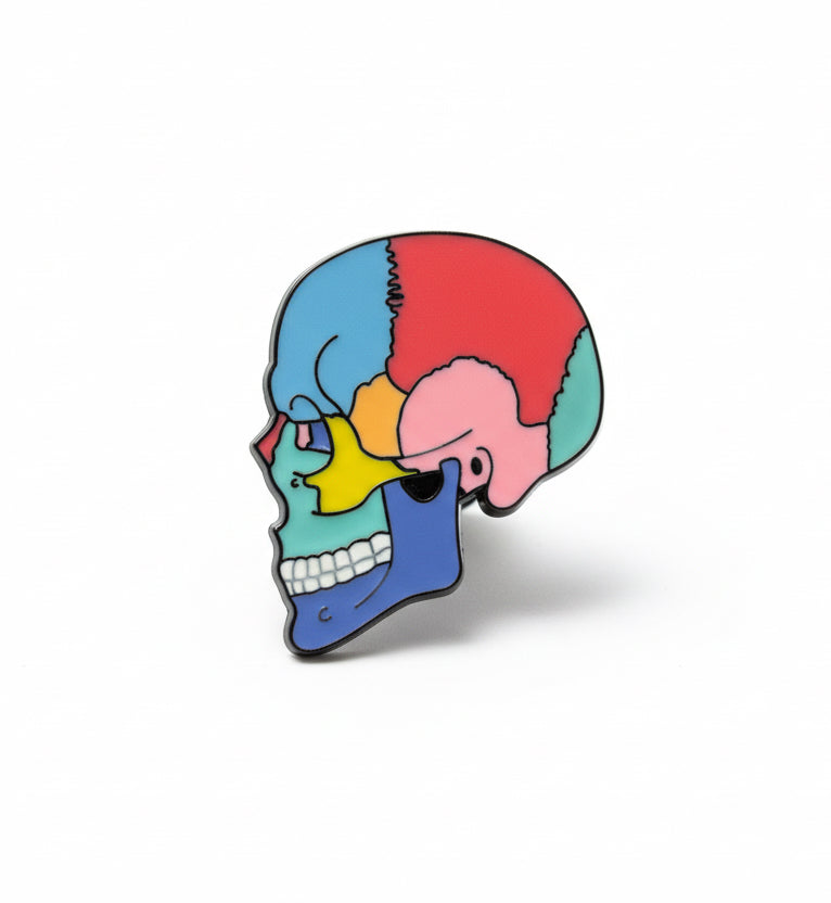 Skull of colors
